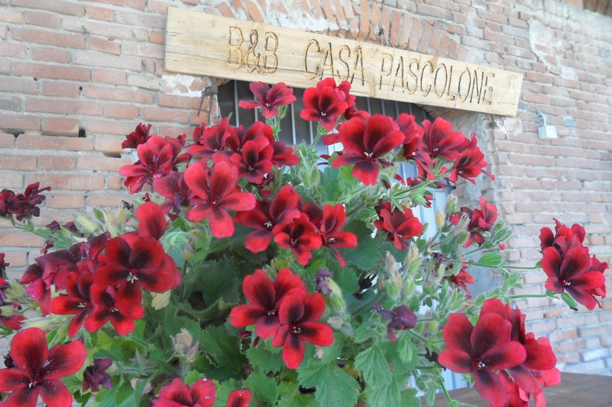B&B Casa Pascolone Pegognaga Екстериор снимка